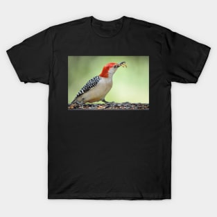 Flicker with mealworms T-Shirt